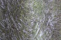 Crask Of Aigas fibreglass roof work